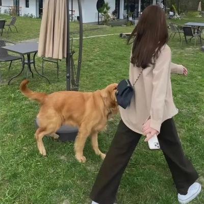 丈夫之谋